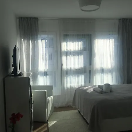 Haas Apartment *